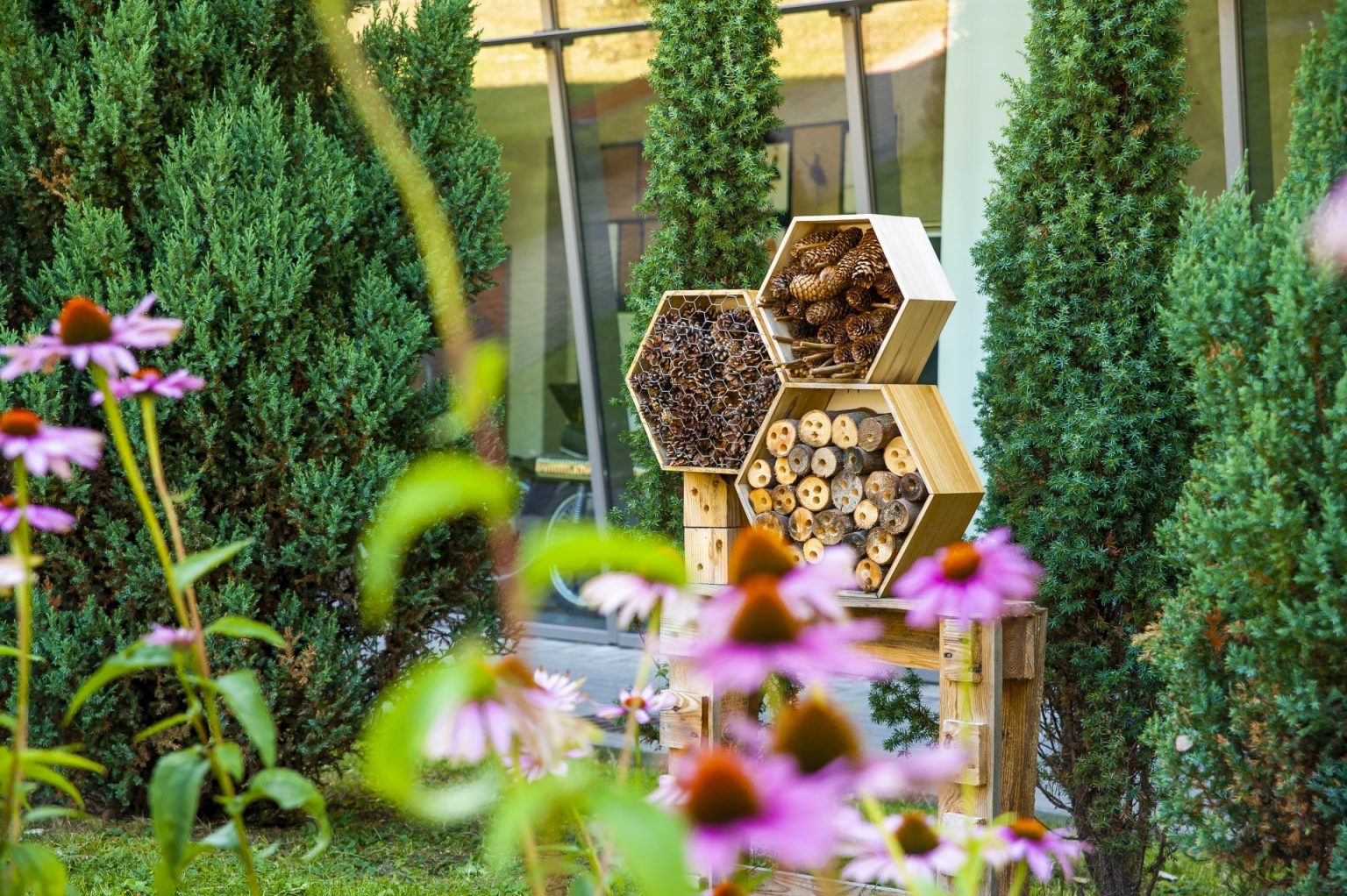 Biodiversiteit natuur terug in balans Milieu Centraal