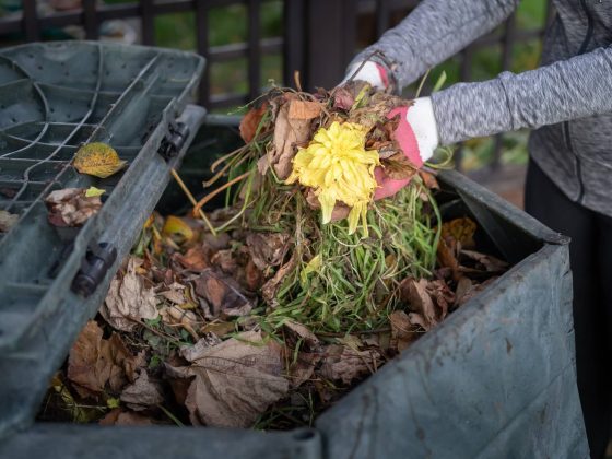 compost