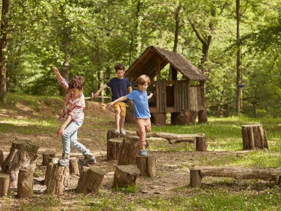 drie jongens spelen op boomstammen in een speelse en natuurrijke speeltijd