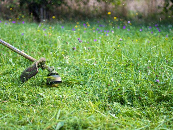 Ecologisch maaien