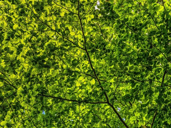 Houd het koel in de zomer