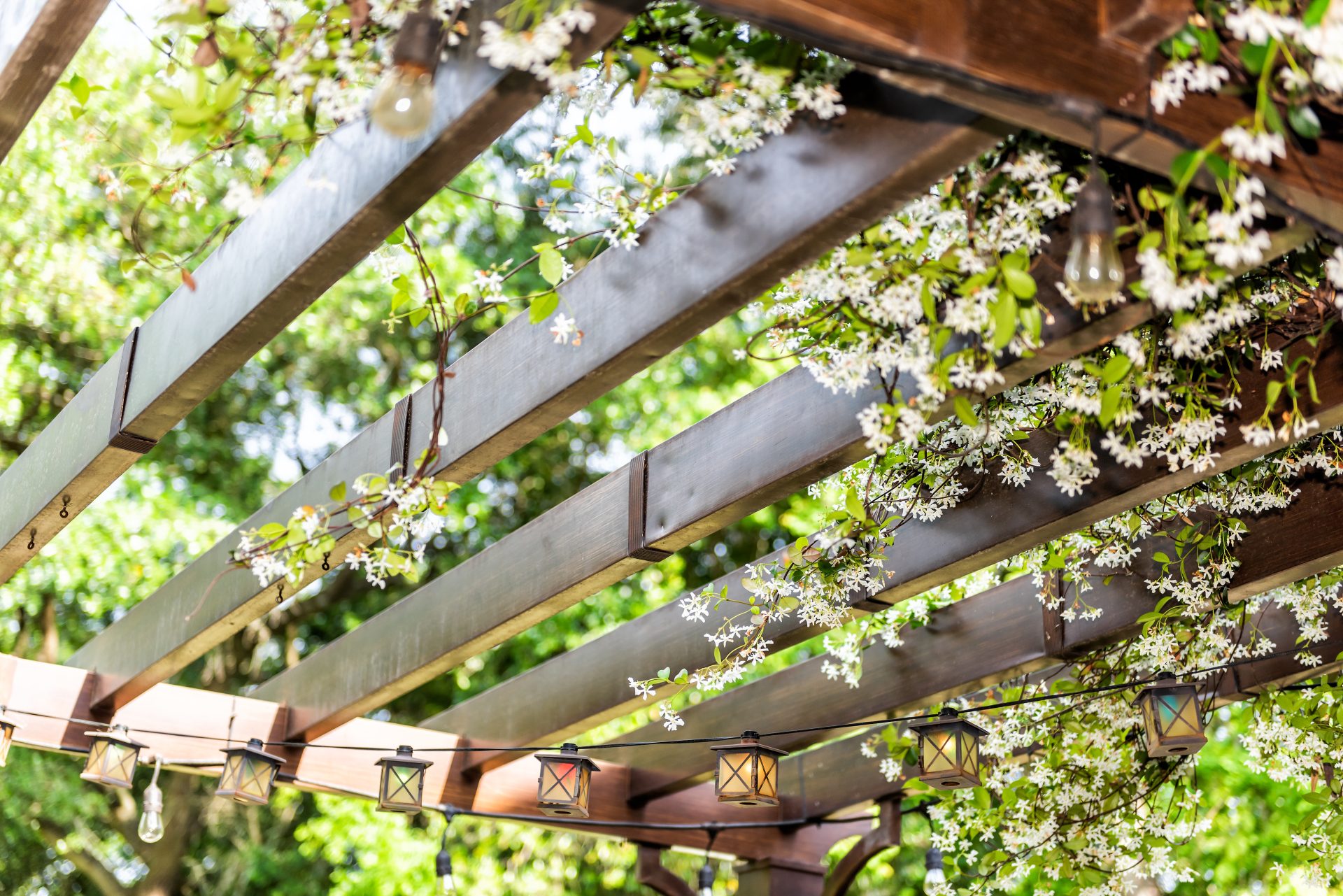Begroeide pergola