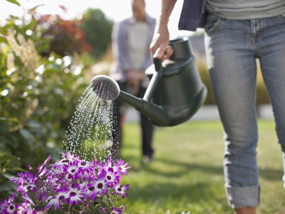 Tuin water geven tijdens vakantie