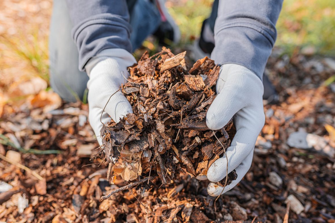 Handige tips voor onderhoud en verzorging van jouw tuin of balkon voor in het najaar.