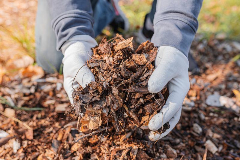 Handige tips voor onderhoud en verzorging van jouw tuin of balkon voor in het najaar.