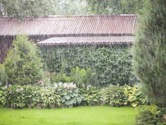 Watertekort en wateroverlast door klimaatverandering