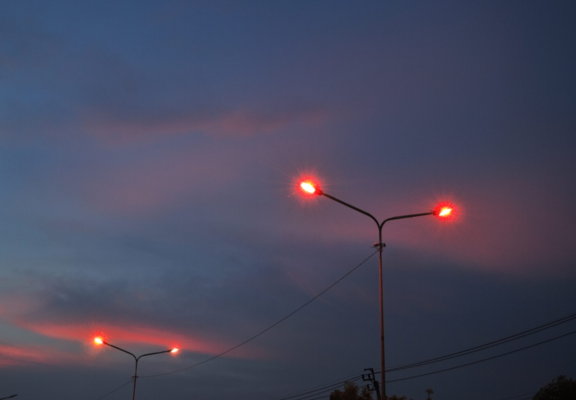 Beperk lichtvervuiling en gebruik warm licht om dieren meer rust te bieden