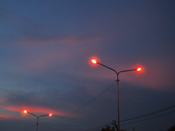 Beperk lichtvervuiling en gebruik warm licht om dieren meer rust te bieden