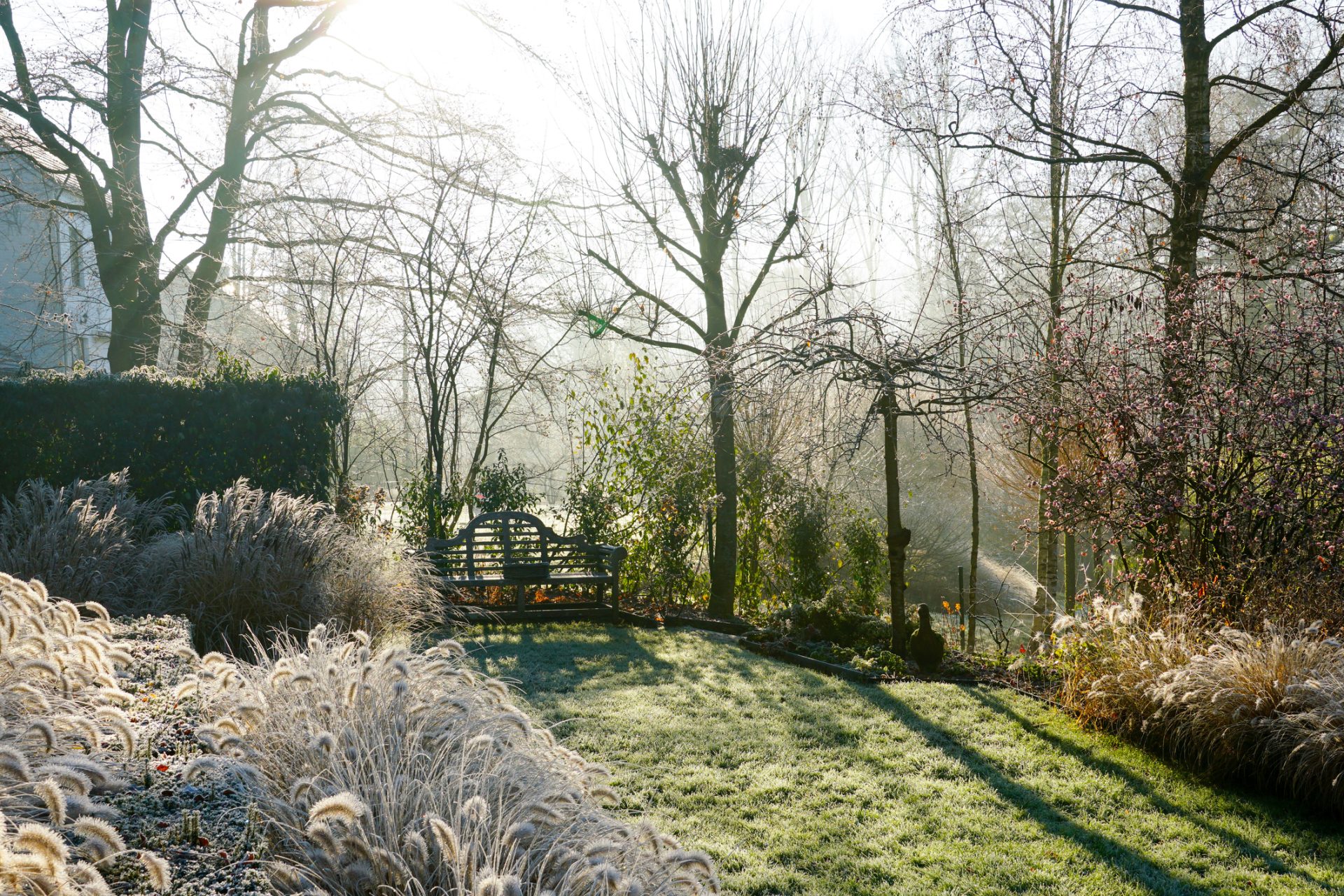 Winter tuintips van ecoloog