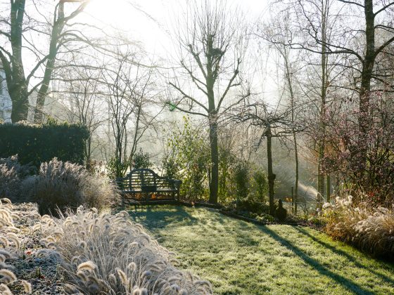 Winter tuintips van ecoloog