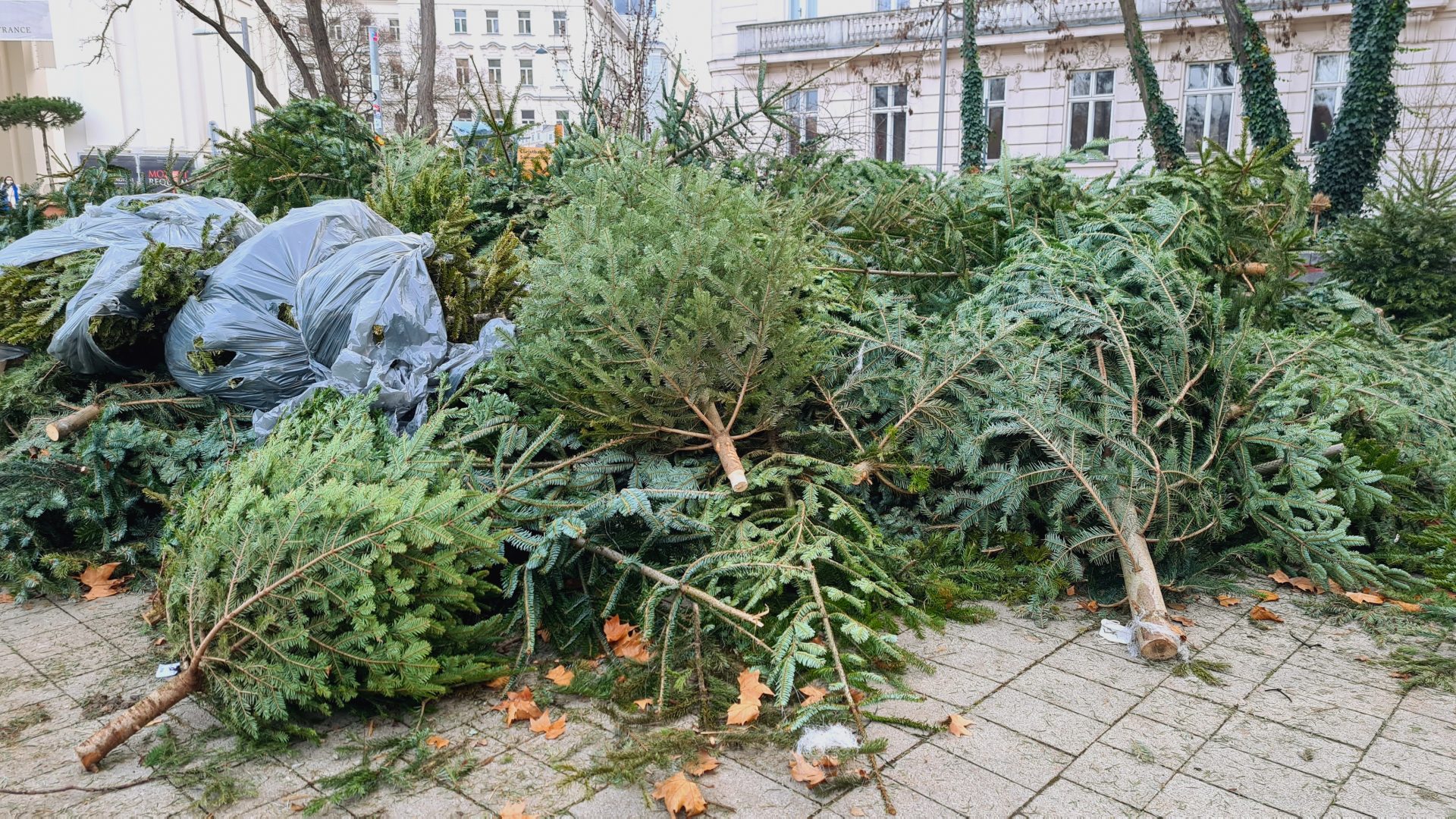 Recyclen van kerstbomen