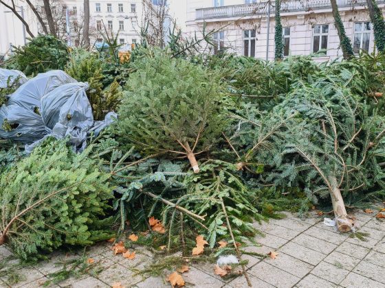 Recyclen van kerstbomen