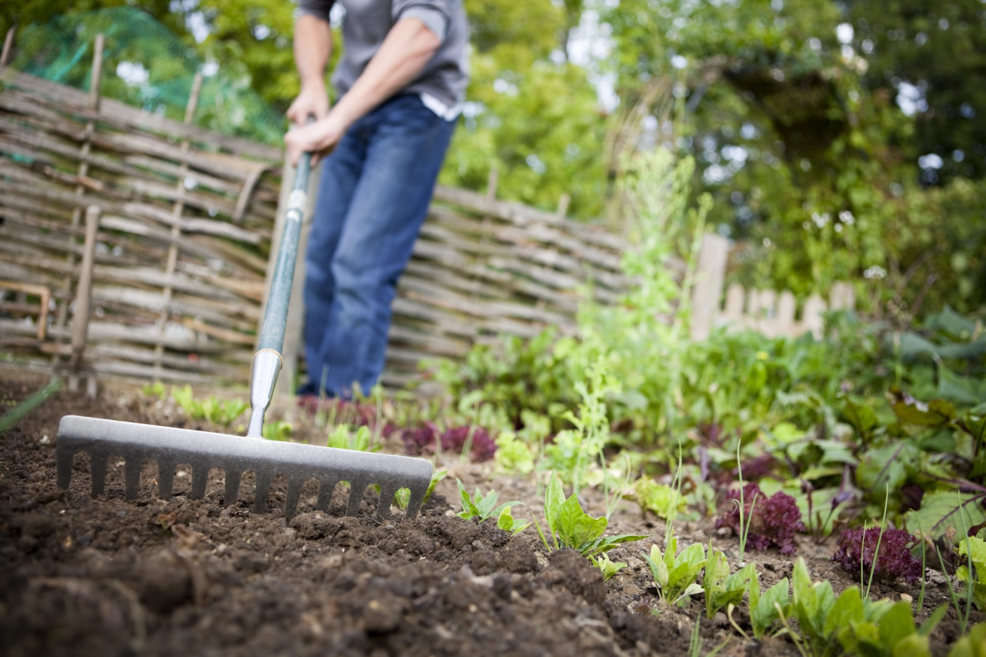 Voorbereiding van je moestuin in februari