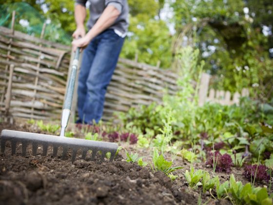 Voorbereiding van je moestuin in februari
