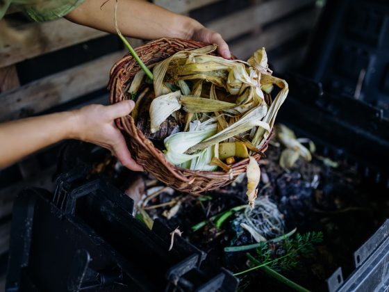 Mulchen en composteren als verrijking voor je tuin